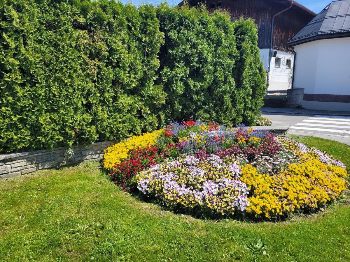 Ferienwohnung Schatz Breitenwang Esterno foto