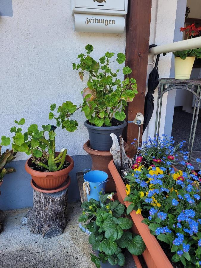 Ferienwohnung Schatz Breitenwang Esterno foto